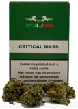 010: Critical Mass