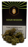 020: Sour Widow